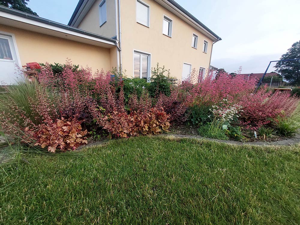 images/gartenbilder/klein_zastrow-garten-357-schneider/garten_357_26_f.jpg
