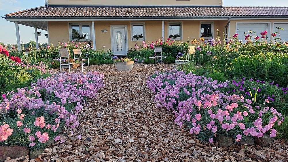 images/gartenbilder/klein_zastrow-garten-357-schneider/garten_357_26_h.jpg
