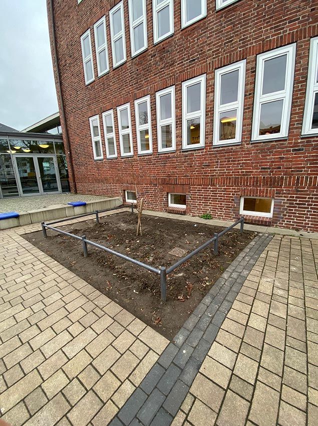 images/gartenbilder/stralsund_schulzentrum_am_sund_neutmann/stralsund_schulzentrum_am_sund_neutmann_i.jpg