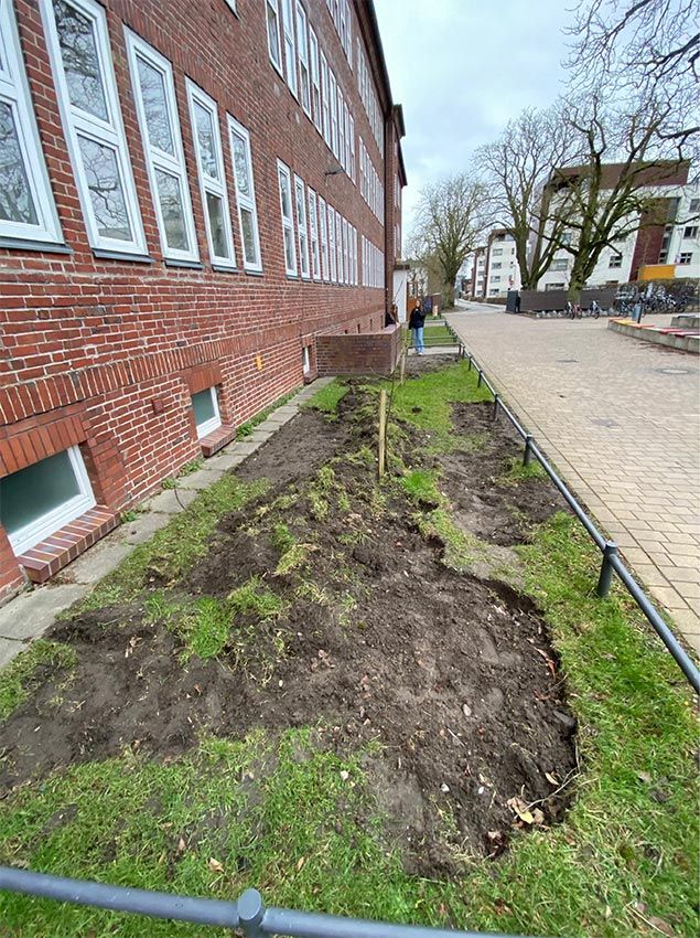 images/gartenbilder/stralsund_schulzentrum_am_sund_neutmann/stralsund_schulzentrum_am_sund_neutmann_a.jpg